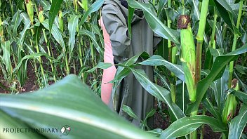 couple having sex in a public cornfield - loving the thrill to get caught