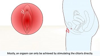 The female orgasm explained